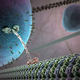 Illustration for article titled Macrophages Squirming Along the Outside of Your Capillaries